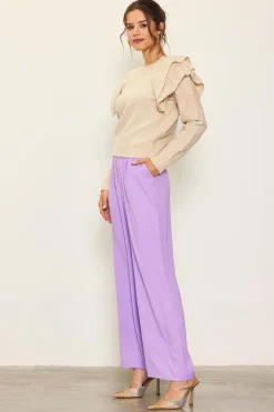 Pointelle-Knit Ruffle Sleeve Sweater*SKIES ARE BLUE Hot