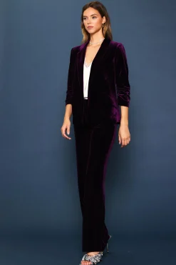 Ruched Velvet Blazer*SKIES ARE BLUE New