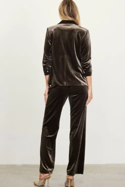 Ruched Velvet Blazer*SKIES ARE BLUE Sale