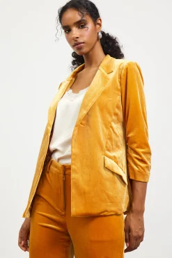 Ruched Velvet Blazer*SKIES ARE BLUE Best