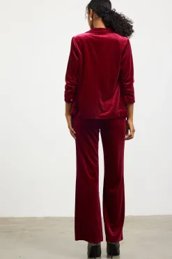 Ruched Velvet Blazer*SKIES ARE BLUE Best