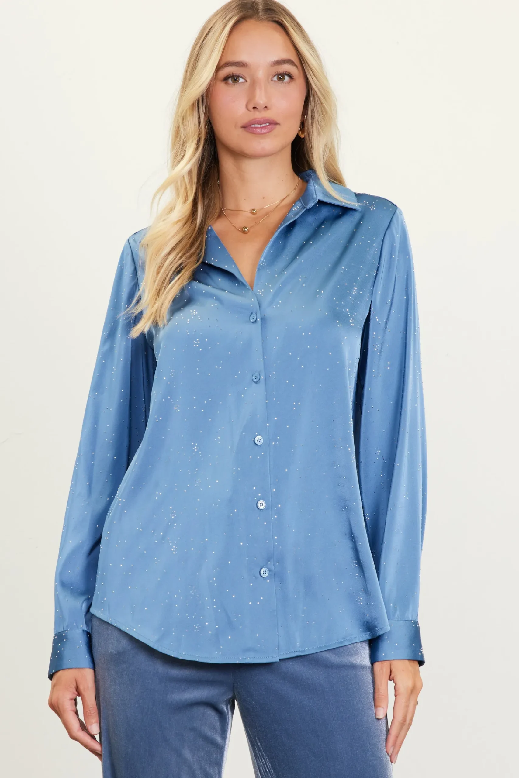 Shimmery Button Down Blouse*SKIES ARE BLUE New