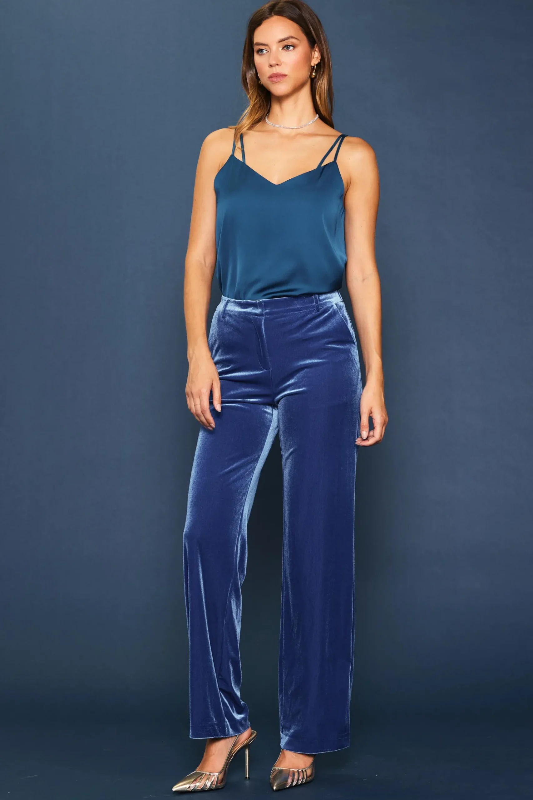 Velvet Wide Leg Pants*SKIES ARE BLUE Discount